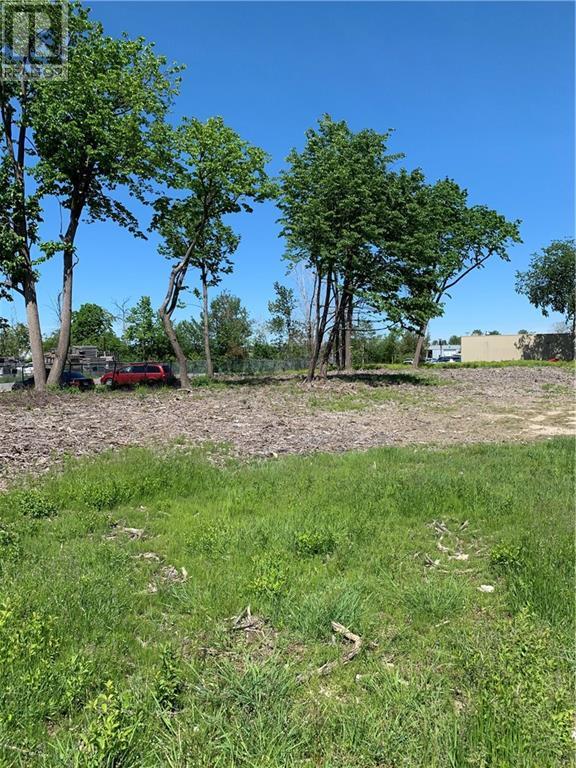 1591 Michael Street, Ottawa, Ontario K1B 3T5 - Photo 4 - 1194674