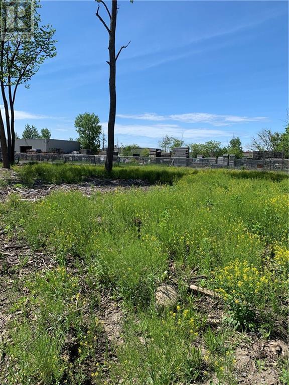 1591 Michael Street, Ottawa, Ontario K1B 3T5 - Photo 6 - 1194674