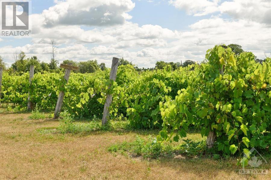 8005 Jock Trail, Richmond, Ontario K0A 2Z0 - Photo 8 - 1205442