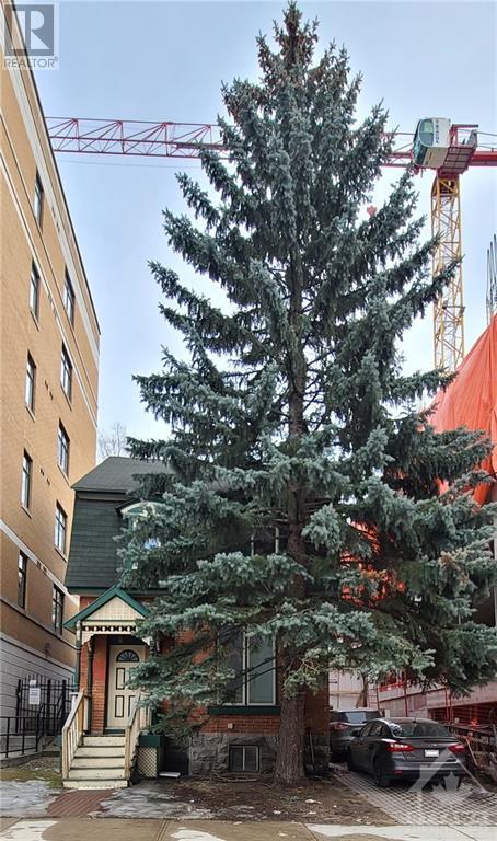 256 Besserer Street, Ottawa, Ontario K1N 6B3 - Photo 7 - 1232423