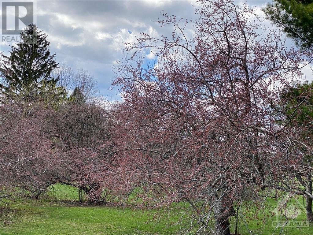 5907 Second Line Road, Ottawa, Ontario  K0A 2E0 - Photo 2 - 1240669