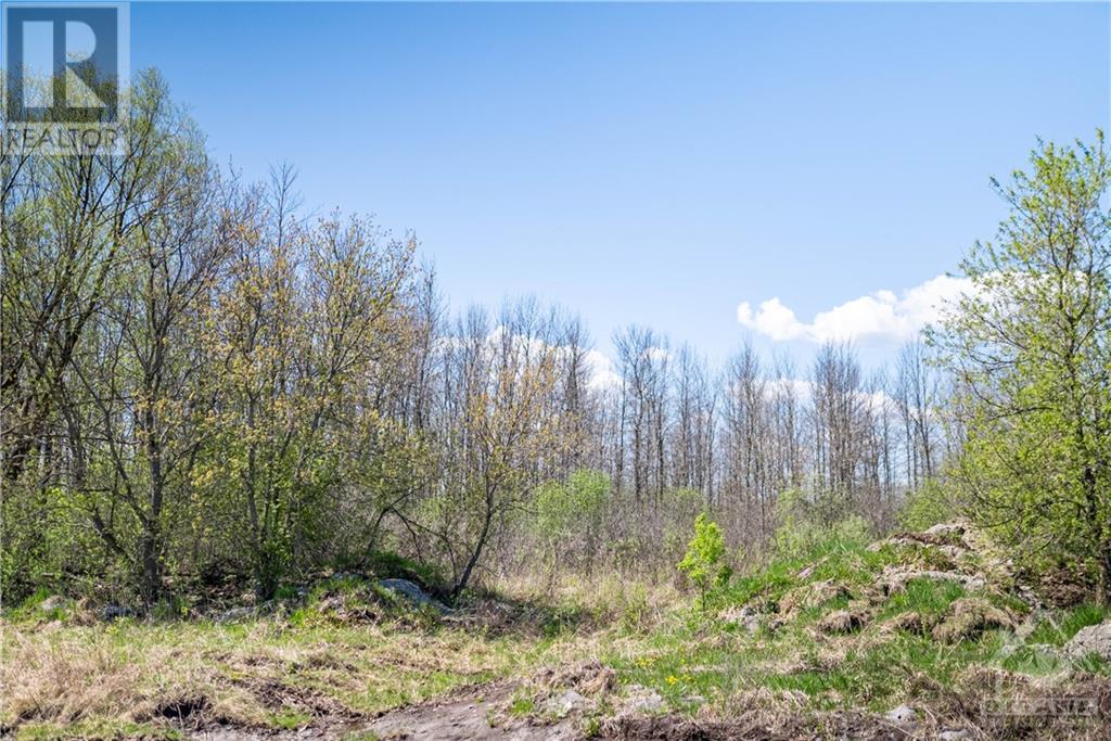 00 Menzie Street, Almonte, Ontario  K0A 1A0 - Photo 19 - 1245378