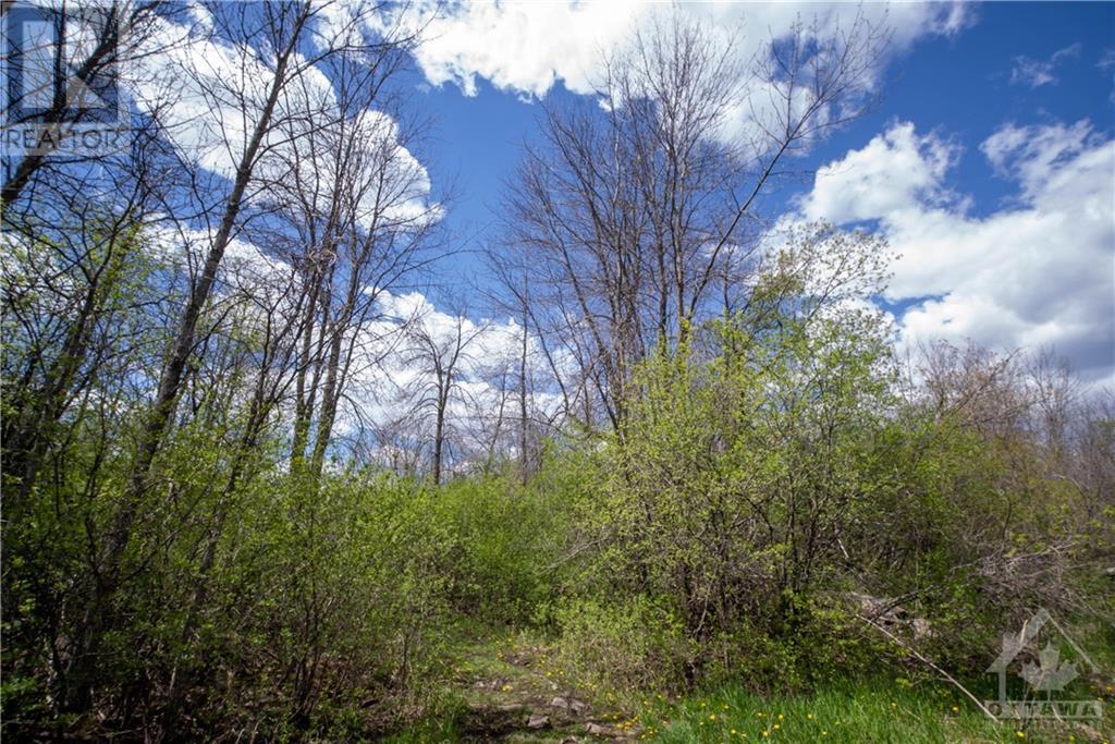 00 Menzie Street, Almonte, Ontario  K0A 1A0 - Photo 20 - 1245378