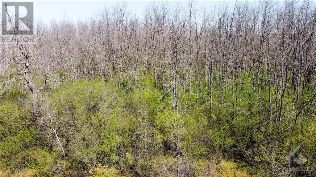 00 Menzie Street, Almonte, Ontario  K0A 1A0 - Photo 16 - 1245598