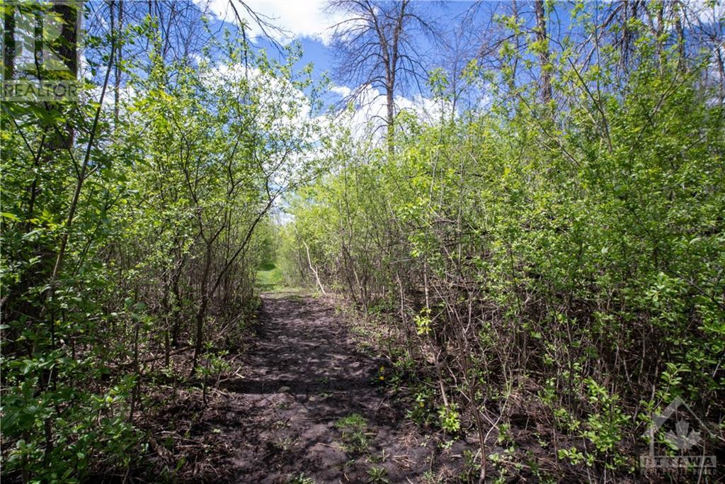 00 Menzie Street, Almonte, Ontario  K0A 1A0 - Photo 17 - 1245598