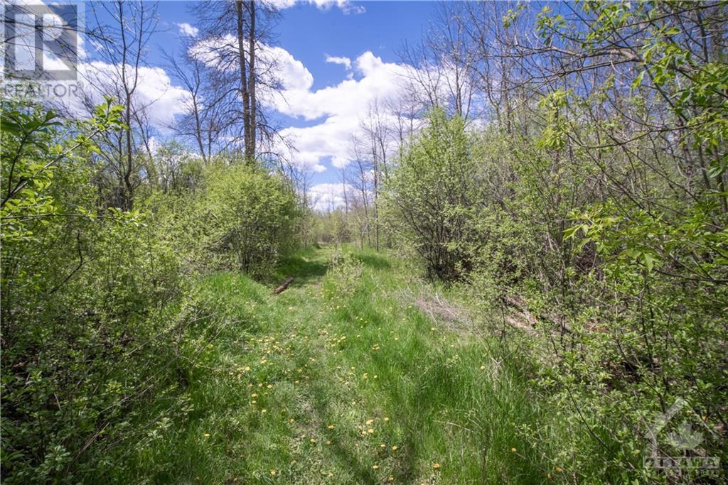 00 Menzie Street, Almonte, Ontario  K0A 1A0 - Photo 18 - 1245598