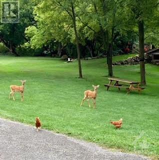 5692 Buckles Street, Osgoode, Ontario  K0A 2W0 - Photo 12 - 1246802