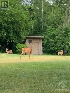 5692 Buckles Street, Osgoode, Ontario  K0A 2W0 - Photo 13 - 1246802