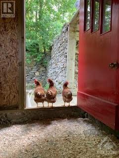 5692 Buckles Street, Osgoode, Ontario  K0A 2W0 - Photo 15 - 1246802