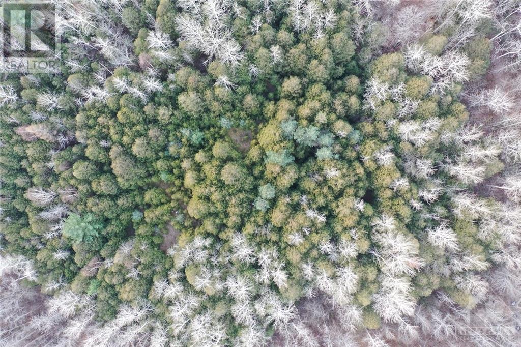 5692 Buckles Street, Osgoode, Ontario  K0A 2W0 - Photo 22 - 1246802