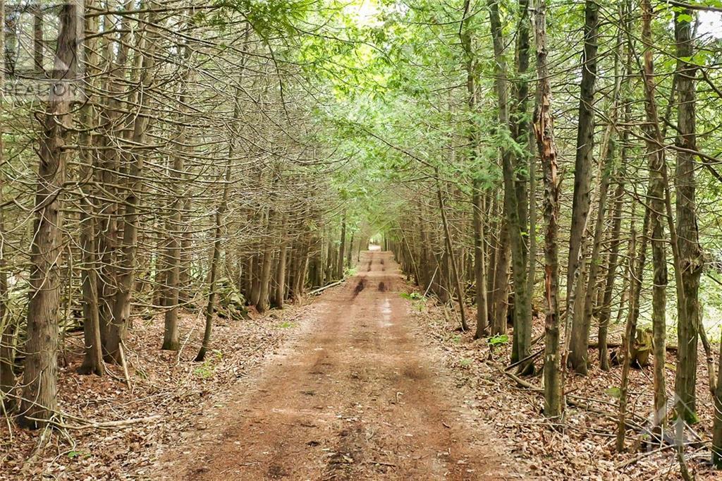 405 GALBRAITH ROAD, clayton, Ontario