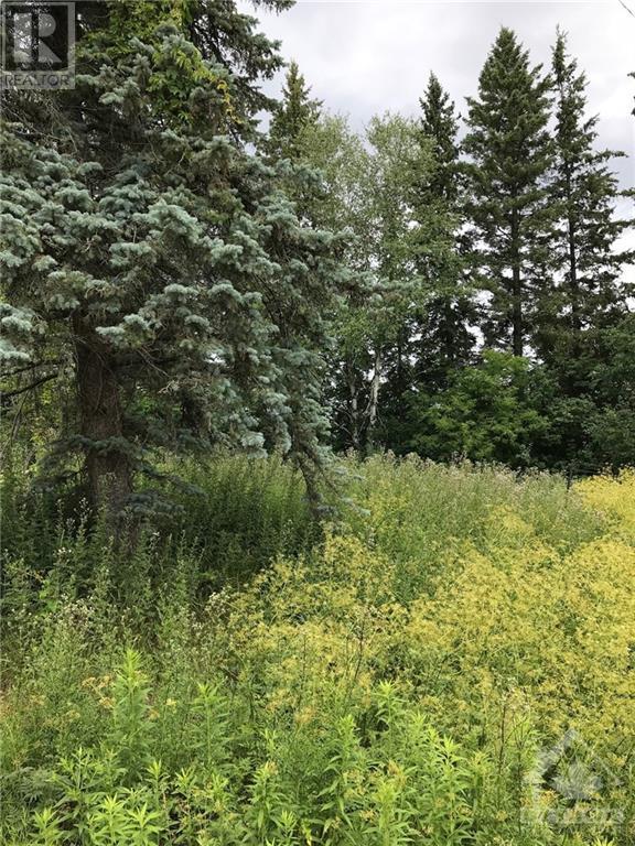 2850 Prince Of Wales Drive, Nepean, Ontario  K2C 3H1 - Photo 10 - 1250312