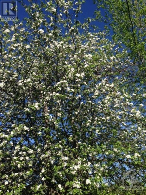 7262 Stone School Road, Greely, Ontario  K4P 1M3 - Photo 7 - 1256013