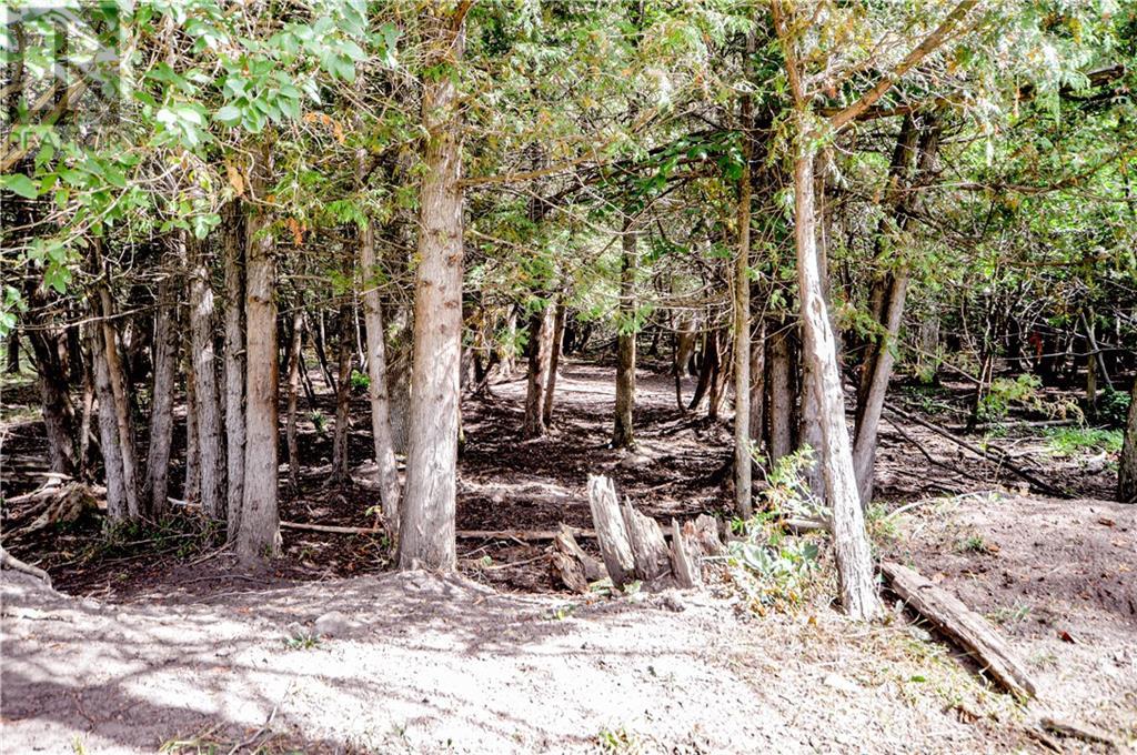 7293 Fallowfield Road, Stittsville, Ontario  K2S 1B8 - Photo 12 - 1256735