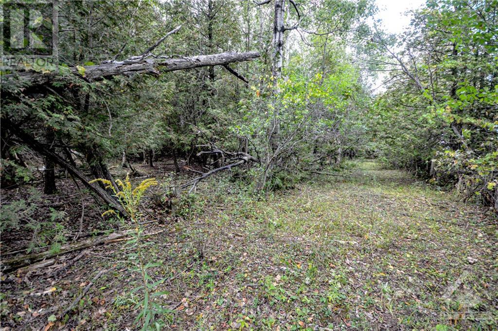 7293 Fallowfield Road, Stittsville, Ontario  K2S 1B8 - Photo 21 - 1256735