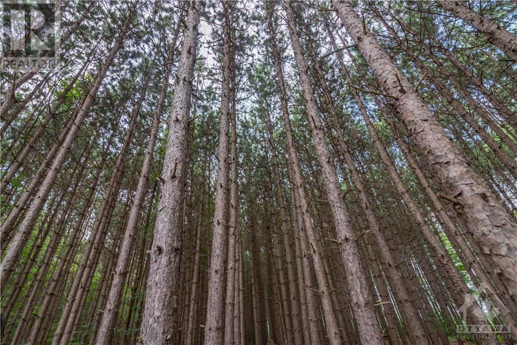 Part 283 St Joseph Street, Alfred, Ontario K0B 1A0 - Photo 10 - 1257174