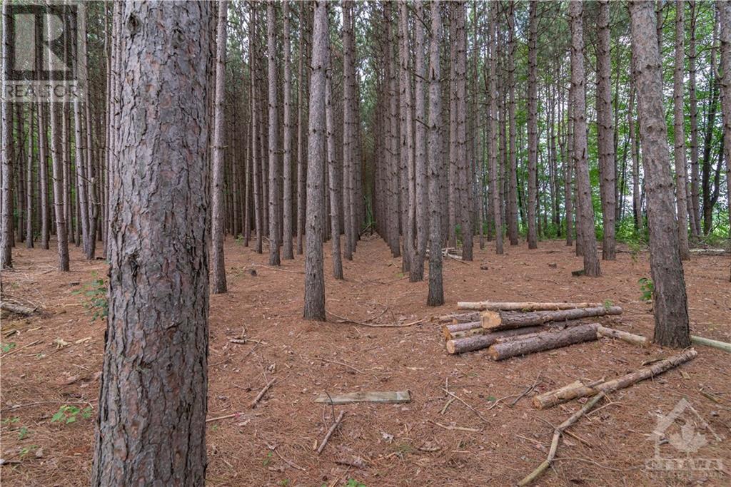 Part 283 St Joseph Street, Alfred, Ontario K0B 1A0 - Photo 9 - 1257174