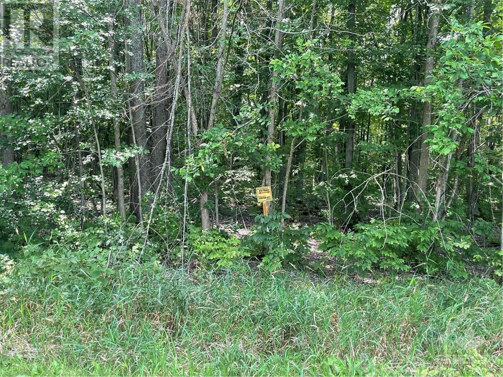 105 Dillabaugh Road, Mountain, Ontario  K0E 1S0 - Photo 28 - 1257393