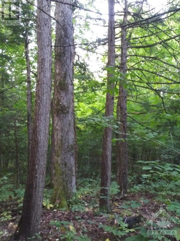 177 Snowdon Road, Merrickville, Ontario K0G 1N0 - Photo 29 - 1257483