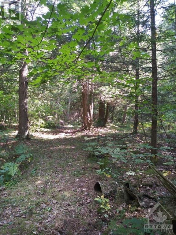 177 Snowdon Road, Merrickville, Ontario K0G 1N0 - Photo 30 - 1257483