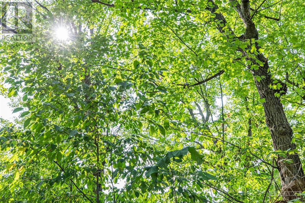 1176 Guthrie Road, Montague, Ontario K7A 5B8 - Photo 15 - 1257638