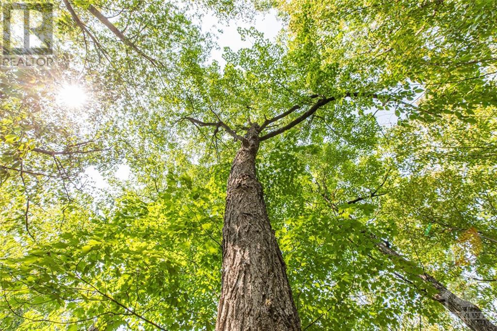 1176 Guthrie Road, Montague, Ontario K7A 5B8 - Photo 16 - 1257638