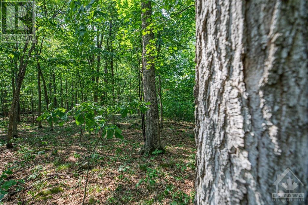 1176 Guthrie Road, Montague, Ontario K7A 5B8 - Photo 17 - 1257638