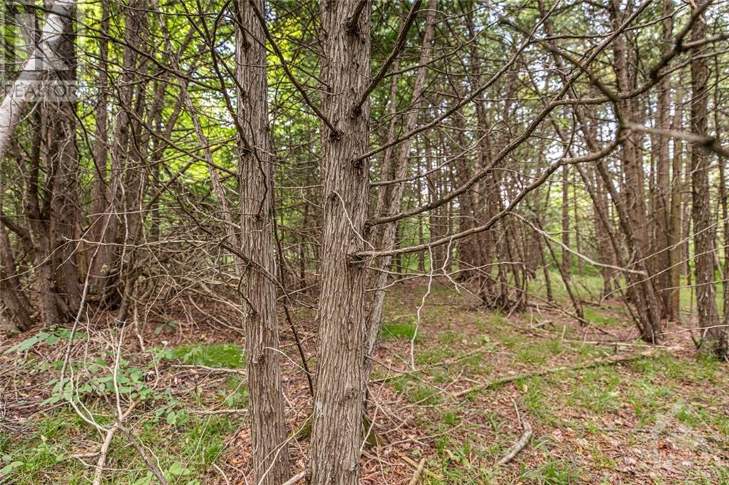 1176 Guthrie Road, Montague, Ontario K7A 5B8 - Photo 20 - 1257638