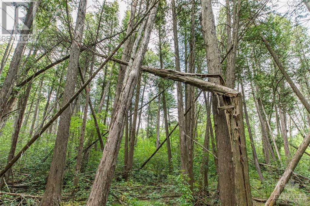 1176 Guthrie Road, Montague, Ontario K7A 5B8 - Photo 7 - 1257638