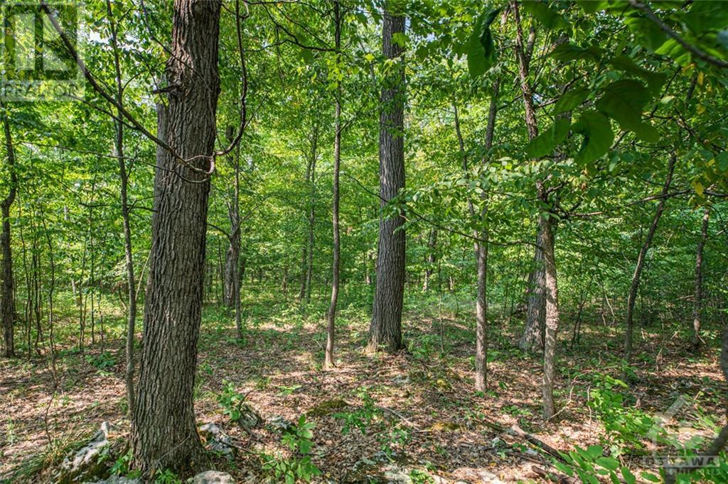 1176 Guthrie Road, Montague, Ontario K7A 5B8 - Photo 9 - 1257638