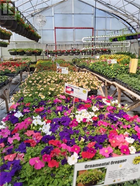 43 Bedford Street, Westport, Ontario K0G 1X0 - Photo 12 - 1257012