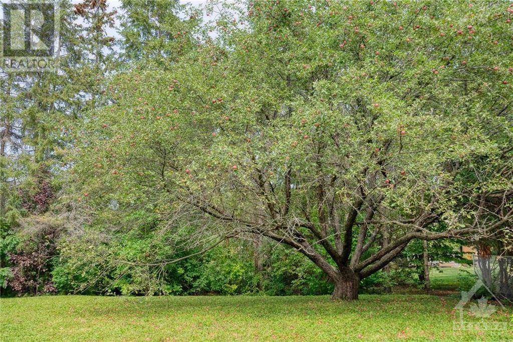 41 Rebecca Crescent, Ottawa, Ontario K1J 6C1 - Photo 7 - 1261042
