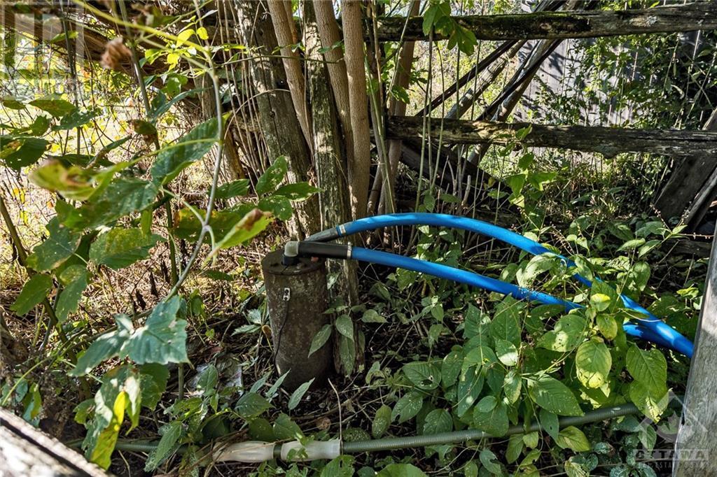 7010 Mansfield Road, Stittsville, Ontario K2S 1B8 - Photo 12 - 1261576