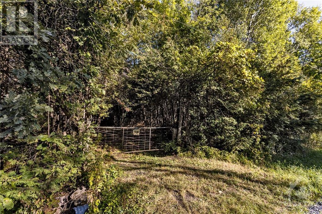 7010 Mansfield Road, Stittsville, Ontario K2S 1B8 - Photo 15 - 1261576