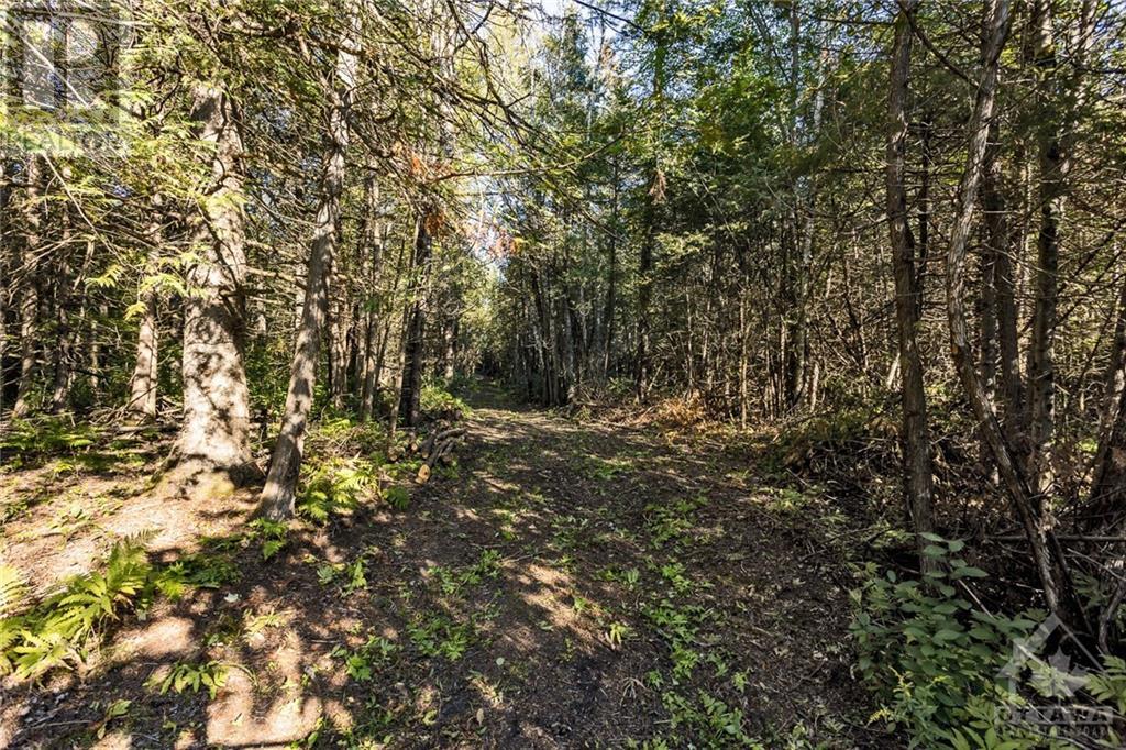 7010 Mansfield Road, Stittsville, Ontario K2S 1B8 - Photo 16 - 1261576