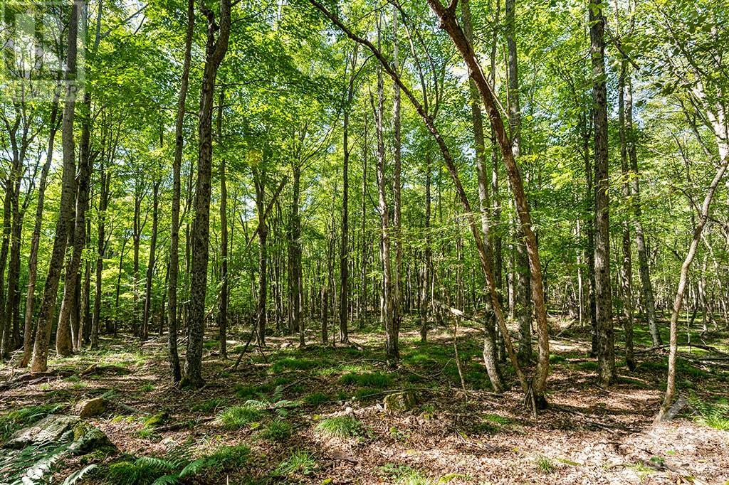 369 Drummond Concession 11 Road, Carleton Place, Ontario K7C 0C5 - Photo 3 - 1261229