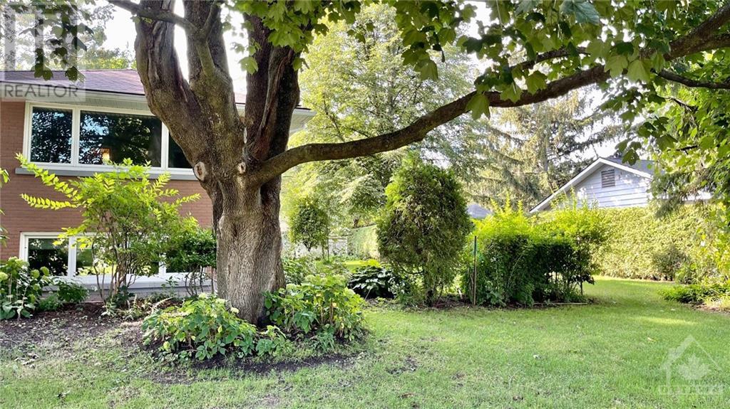 286 Roger Road, Ottawa, Ontario  K1H 5C6 - Photo 23 - 1252677