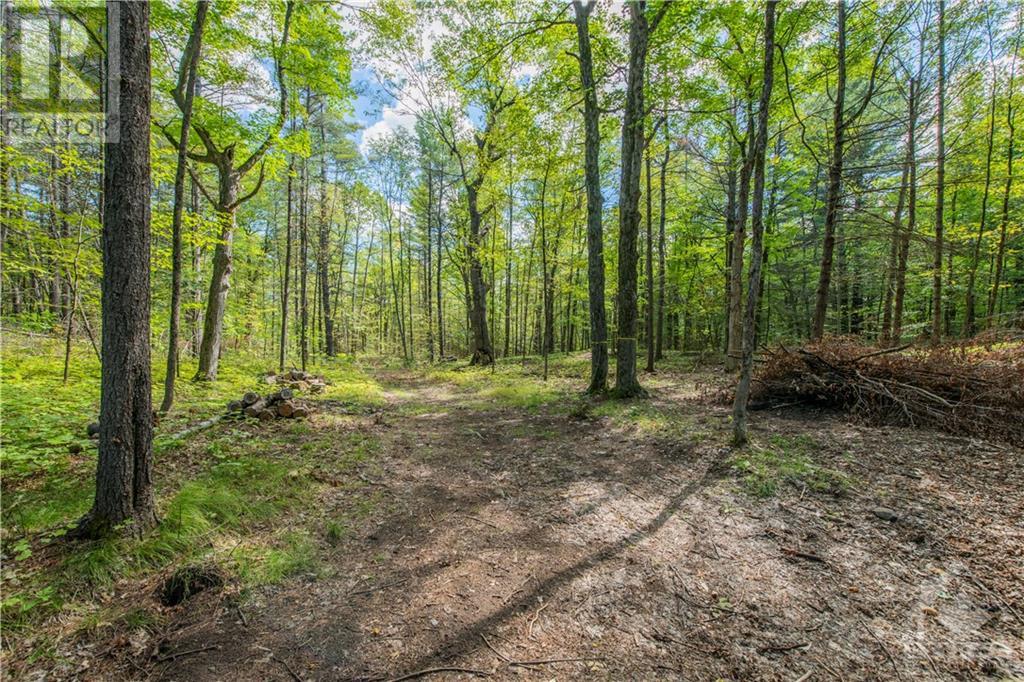 319 Bayview Lodge Road, White Lake, Ontario  K0A 3L0 - Photo 23 - 1260750